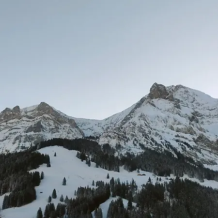 In Kibo * Adelboden